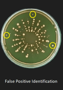 Optimizing microbial air sampling to reduce fake positives in a clean room