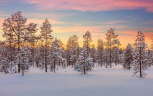 How to Build Better Habits Using Actual Science