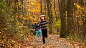 Crisp air, cozy getaways: The best family vacation ideas for fall